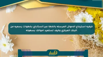 كيفية استرجاع الأموال المرسلة بالخطأ عبر إنستاباي بخطوات رسمية من البنك المركزي وكيف تستعيد أموالك بسهولة